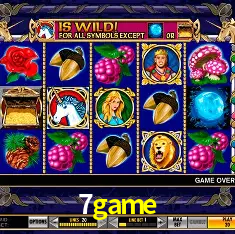 7game Rio de Janeiro - Bonus Terms